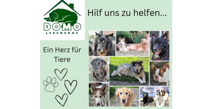 Spendenaktion für den DOMO Lebenshof - Tierschutzprojekt 