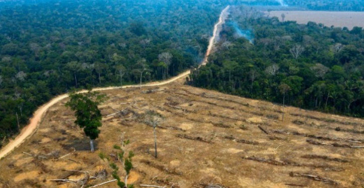 Regenwald Schützen/Leben retten in Peru