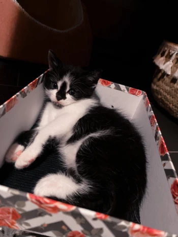 29534b15 7ccf 41d4 b07d fb731539d3b4.