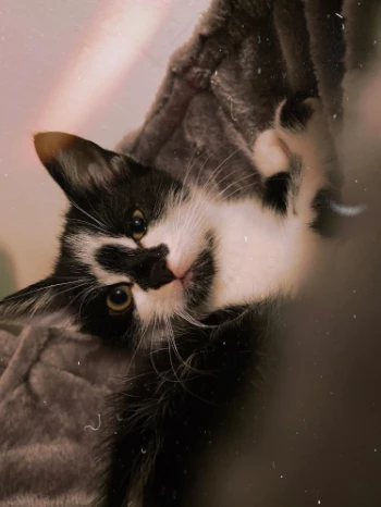 5fbb87e7 6b5e 43d8 8a60 24bd77856e8f.