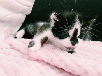 afd1f90d 8d80 4c33 8d8b 7d0342a50d41.