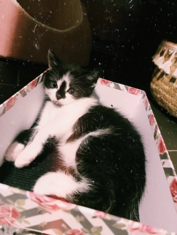 b91ee307 5916 4698 aadf c9401b1f6cfd.