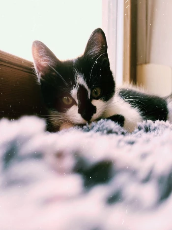 facd554d dbb6 4854 8a82 170e5570ee3d.