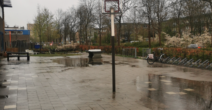 Groen schoolplein MLKingschool