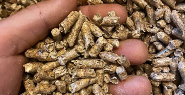 Goedkope houtpellets maken.