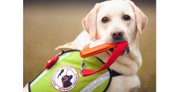 Assistenzhund für Vicky