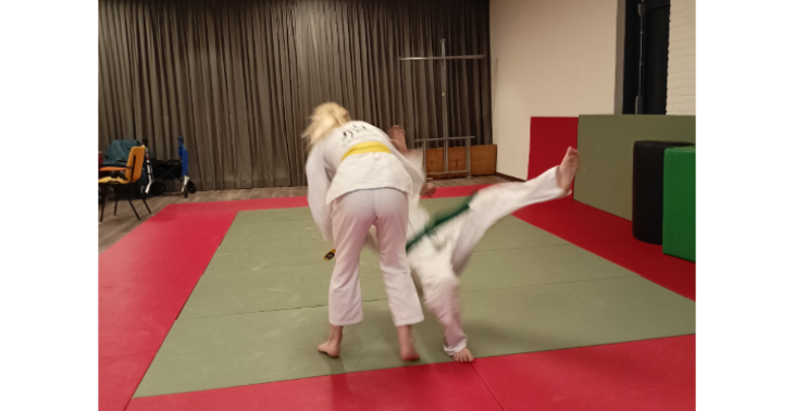 Nieuwe judomat voor Kodokan