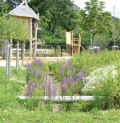 wadi met oversteek1