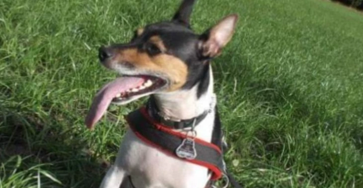 Buster braucht Hilfe