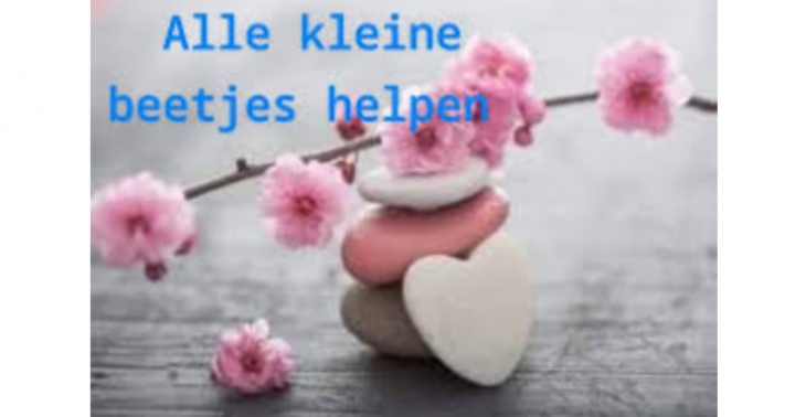 Dak herstelling en isolatie geef ons een steuntje