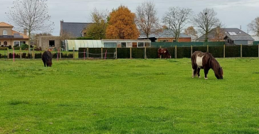 Help mee aan een leuke en mooie plek voor de dieren