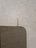 20230106 205818