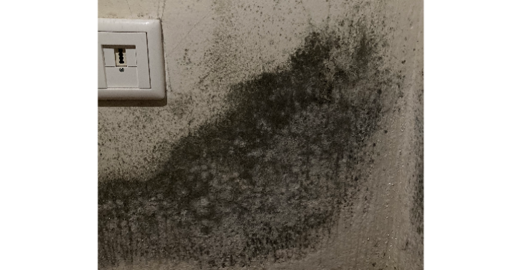 Hilf einem Paar aus einer Schimmelwohnung!
