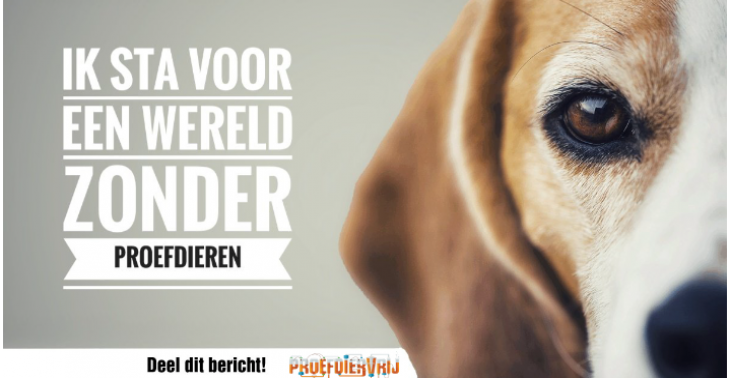 Fietsen voor dieren