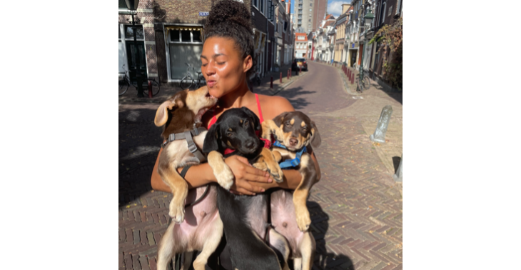 Voorkom jonge meid met 5 honden op straat!