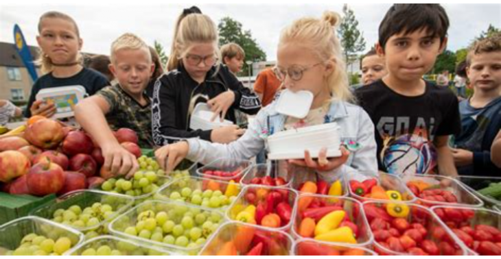 Helpt u mee kinderwensen waar te maken 