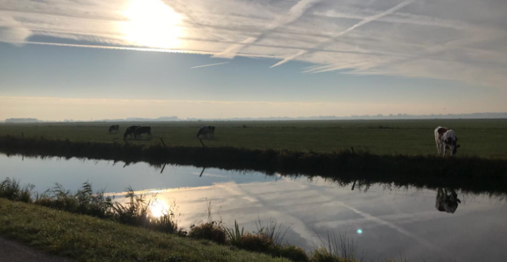 Zinloze rechtzaak en ouderverstoting 