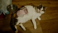 dsc 0002