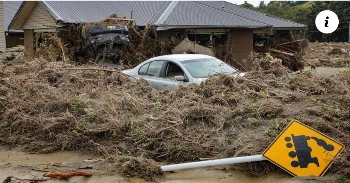 d0d8f96f 0fa2 4056 a4de 7c781dd67f4c.