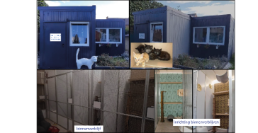 Unit opvang voor gedumpte & gevonden katten en kittens!