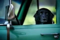 images (3)