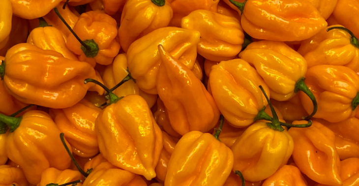🌶️ Efftepië 🌶️