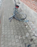 img 8731