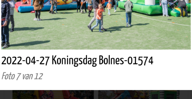 Koninsdag bolnes