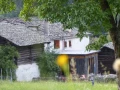p1120139