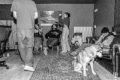 dsc03392