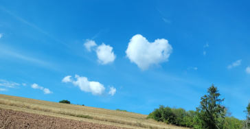 Die Reise zu uns Selbst