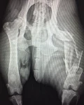 fda72002 2467 4a30 a2be a551264ec57a