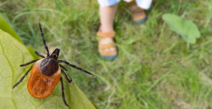Help! Eén Jaar Comfortabel? (Gevolgen Hersenontsteking + Lyme)