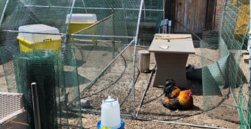 Help ons Melleke haar leven wat makkelijker en aangenamer te maken