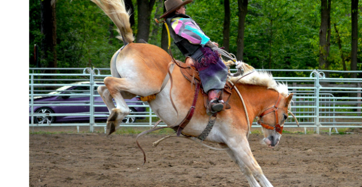 Be part of my trail to Cheyenne 