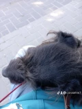 e207fcb9ae07721e2e6f2e7e1660e09c 1
