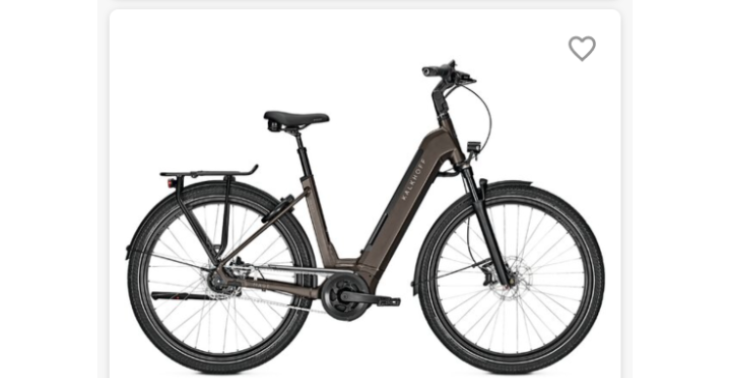 Ein E-Bike wird dringend benötigt 