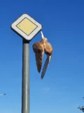 20211109 115935