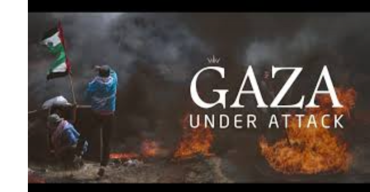 Feed gaza project