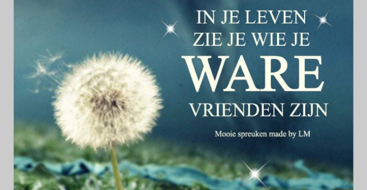 Crowdfunding voor een kapster 