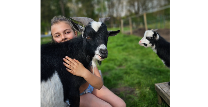 Zorgboerderij voor mens en dier