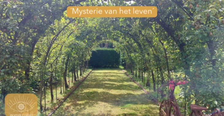Draag bij aan de magie van "Mysterie van het leven"