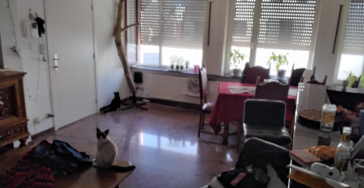 SOS A HOME