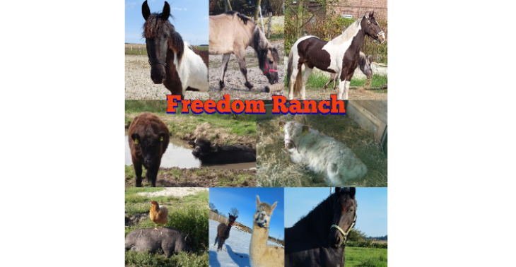 Hilferuf der Freedomranch