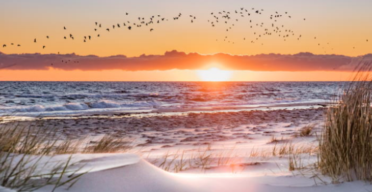 Der Traum vom Strand