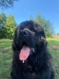 img 6486