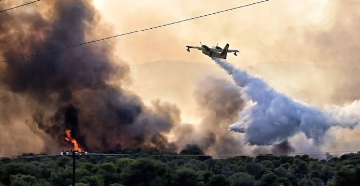 Humanitaire hulp voor bosbranden in Griekenland 