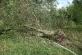 img 0250 2
