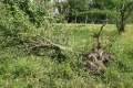 img 0255 1