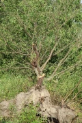 img 0257